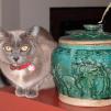 View the image: Rosa & Chinese Jar