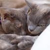 View the image: OLYMPUS DIGITAL CAMERA
