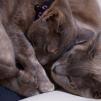 View the image: OLYMPUS DIGITAL CAMERA