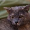 View the image: OLYMPUS DIGITAL CAMERA