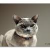 View the image: OLYMPUS E-30