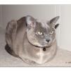 View the image: OLYMPUS E-30