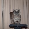 View the image: OLYMPUS E-30