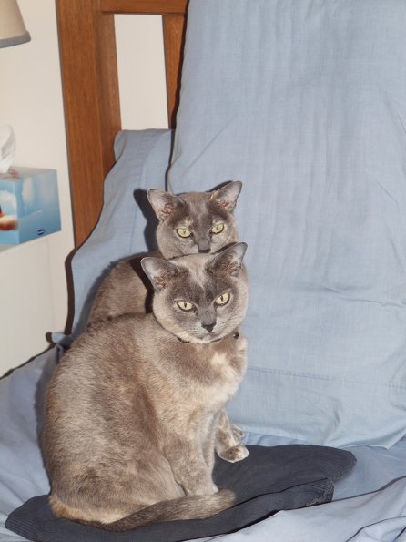 Lizzie & Rosa