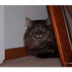 View the image: Olympus E-30