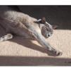 View the image: Olympus E-30