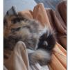View the image: Olympus E-30