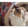 View the image: Olympus E-30