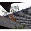 View the image: Olympus E-30
