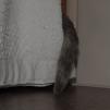 View the image: OLYMPUS DIGITAL CAMERA