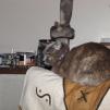 View the image: OLYMPUS DIGITAL CAMERA