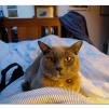 View the image: Olympus E-510