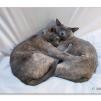 View the image: Rosa & Lizzie