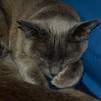 View the image: OLYMPUS DIGITAL CAMERA