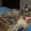 View the image: OLYMPUS DIGITAL CAMERA