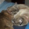 View the image: OLYMPUS DIGITAL CAMERA