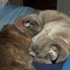 View the image: OLYMPUS DIGITAL CAMERA