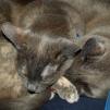 View the image: OLYMPUS DIGITAL CAMERA