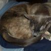 View the image: OLYMPUS DIGITAL CAMERA