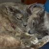 View the image: OLYMPUS DIGITAL CAMERA
