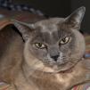 View the image: OLYMPUS DIGITAL CAMERA