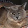 View the image: OLYMPUS DIGITAL CAMERA