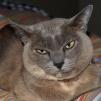 View the image: OLYMPUS DIGITAL CAMERA