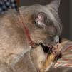 View the image: OLYMPUS DIGITAL CAMERA