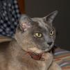 View the image: OLYMPUS DIGITAL CAMERA