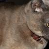 View the image: OLYMPUS DIGITAL CAMERA