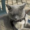 View the image: OLYMPUS DIGITAL CAMERA