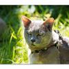 View the image: Olympus OM-D E-M1 MILC