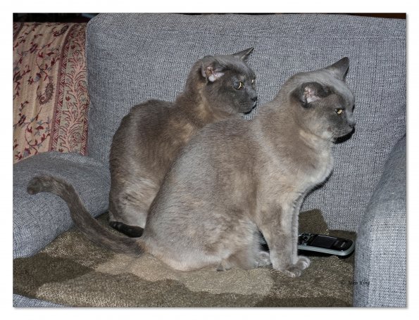 Rosa & Lizzie