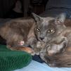 View the image: E5000_JAK_2006-DSCN0958_E