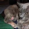 View the image: E5000_JAK_2006-DSCN0959_E