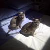 View the image: IMG-20141020-00226-56