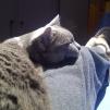 View the image: IMG-20141103-00254-38