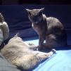 View the image: IMG-20141103-00255_edited (1)