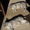 View the image: IMG_20170730_185451_809