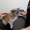 View the image: IMG_20210703_120625