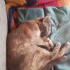 View the image: IMG_20210703_124017