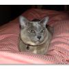 View the image: 18 minutes in the life of Rosa
Olympus E-510 + f/2.8 25mm Pancake