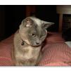 View the image: 18 minutes in the life of Rosa
Olympus E-510 + f/2.8 25mm Pancake
