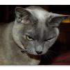 View the image: 18 minutes in the life of Rosa
Olympus E-510 + f/2.8 25mm Pancake