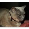 View the image: 18 minutes in the life of Rosa
Olympus E-510 + f/2.8 25mm Pancake