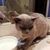 View the image: IMG_20210917_213939