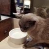 View the image: IMG_20210917_214020