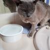 View the image: IMG_20210918_100751