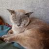 View the image: IMG_20210918_105649