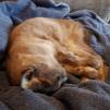 View the image: IMG_20210918_125238